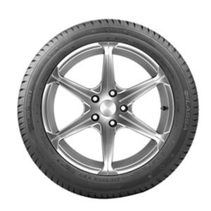 205/55R17 MULTIWAYS 2 95V XL M+S / SFM LS