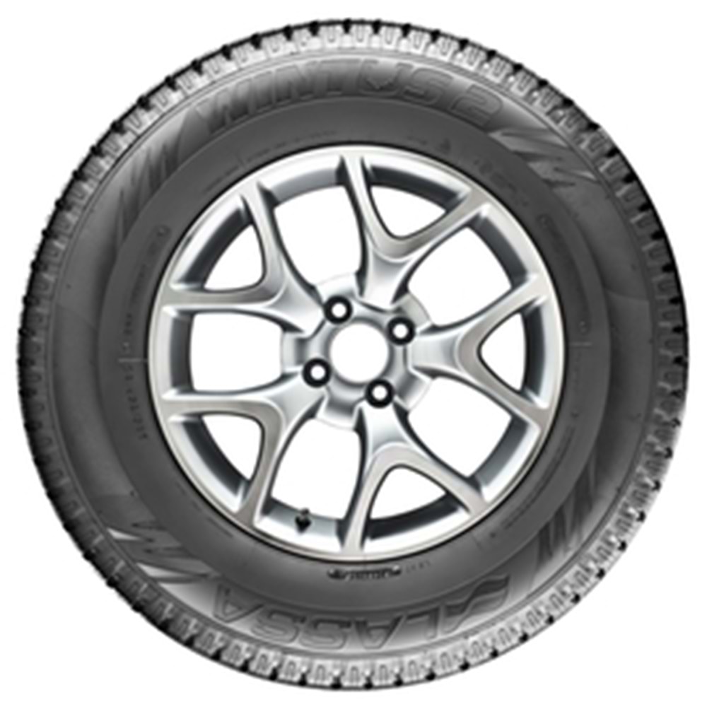 225/75R16C WINTUS 2 121/120R M+S / SFM LS